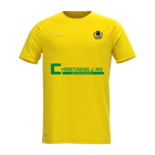 KVVK Bassevelde Shirt Viralto geel jeugd