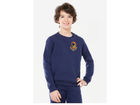 Blue Tigers sweater marineblauw