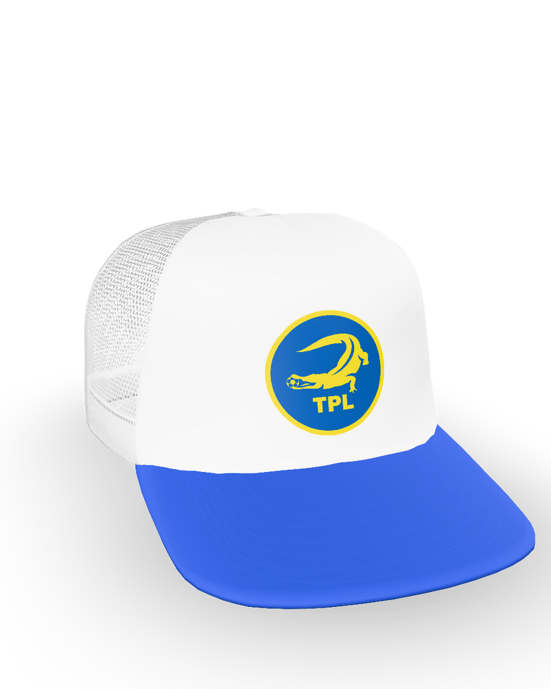 Snapshot for Blue White