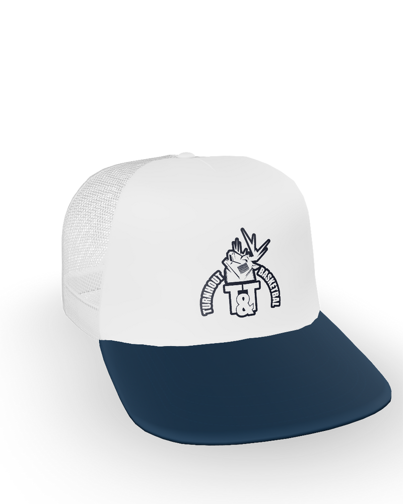 Snapshot for Navy White